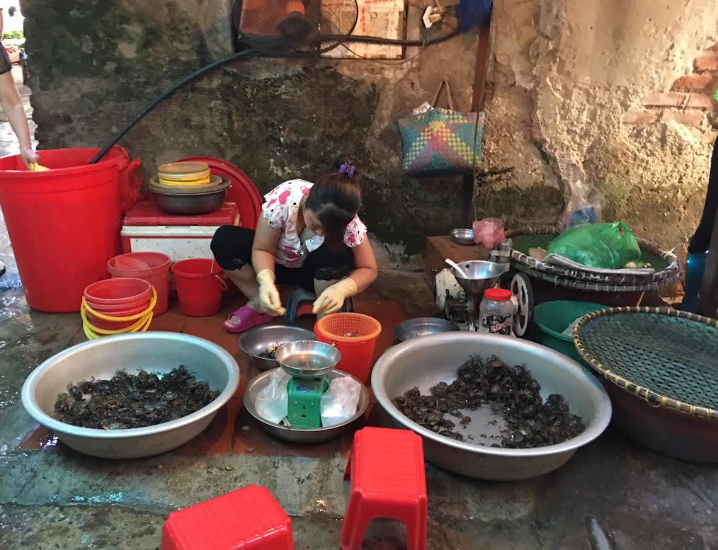 Năm nay lạ lắm: Nắng  40 độ cua đồng vẫn ế sưng