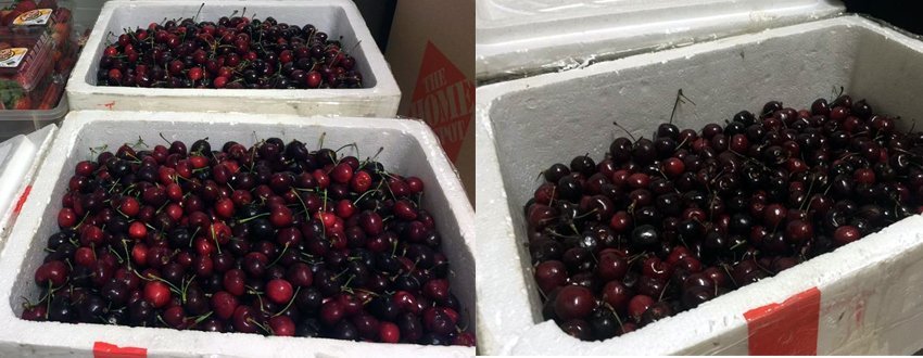 Bay Mỹ-Nội Bài, thùng cherry vơi 1/3: Hàng không nói gì?