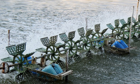 Những tai nạn trời ơi làm hỏng 'cậu nhỏ'