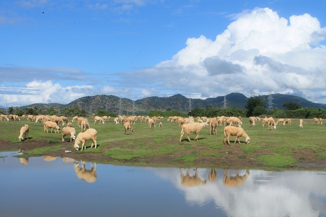 10 điểm dừng chân tuyệt đẹp ở Phan Rang