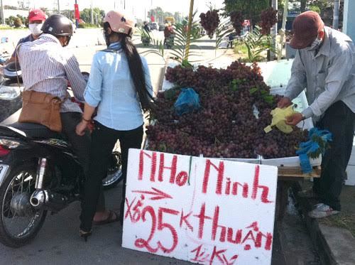 Mỗi ngày 100 tấn nho Tàu: Về Hà Nội toàn nho Mỹ - Úc