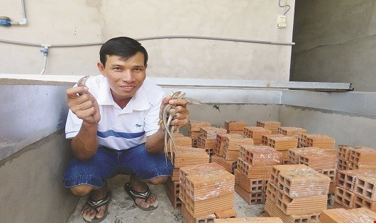 Vua rắn mối: Quãng đời tiến sỹ bỏ học sửa xe đạp