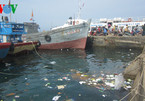 Vùng ven biển miền Trung đang kêu cứu vì ô nhiễm