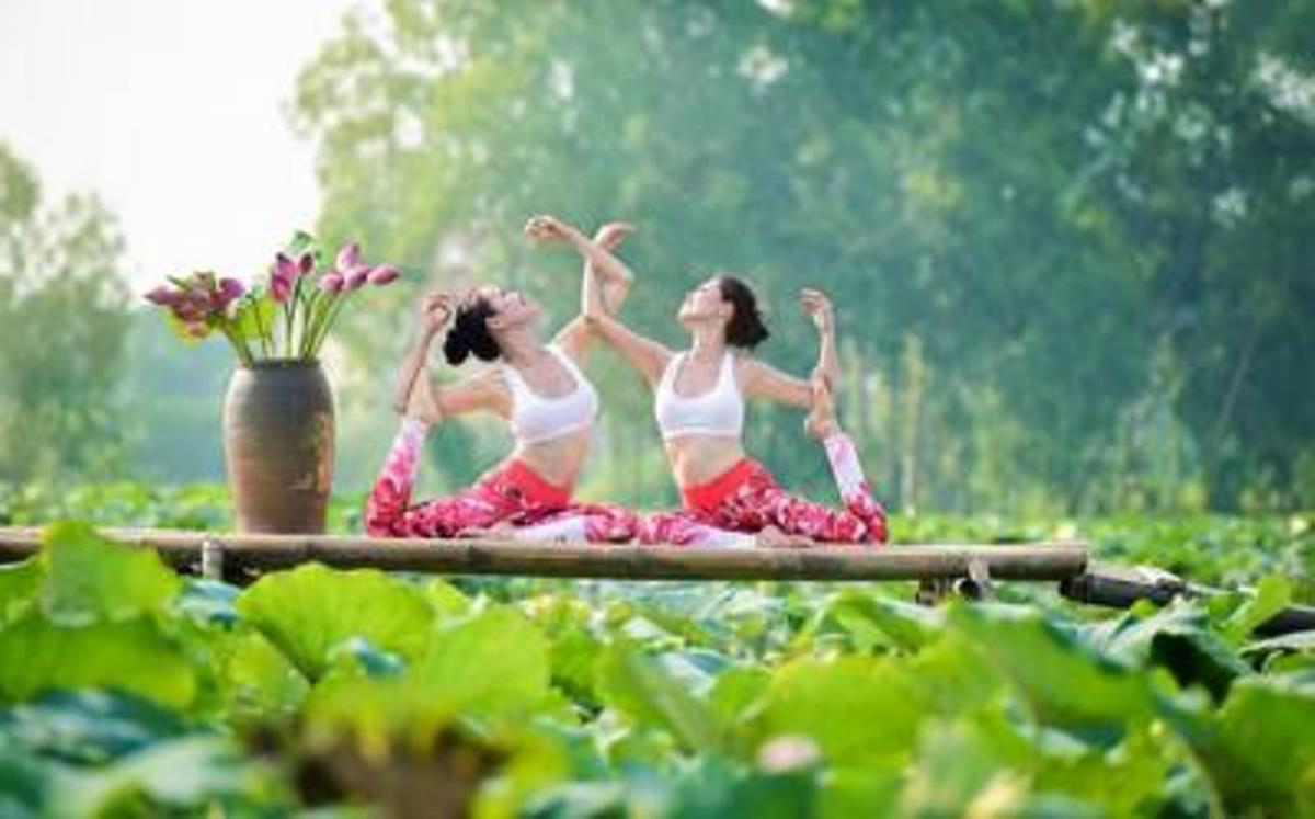 Mê mẩn ngắm bộ ảnh 2 cô gái tập yoga bên hồ sen