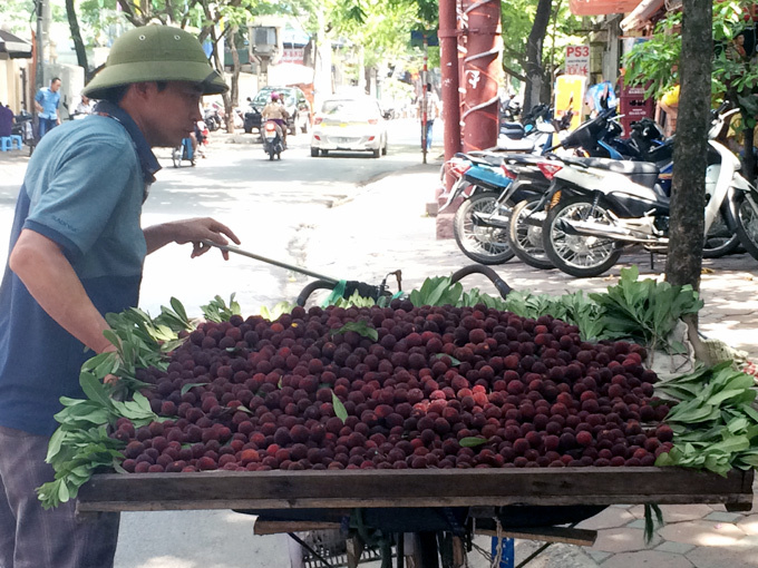 'Đặc sản lừa' thanh mai: Gây sốt rồi mất tích