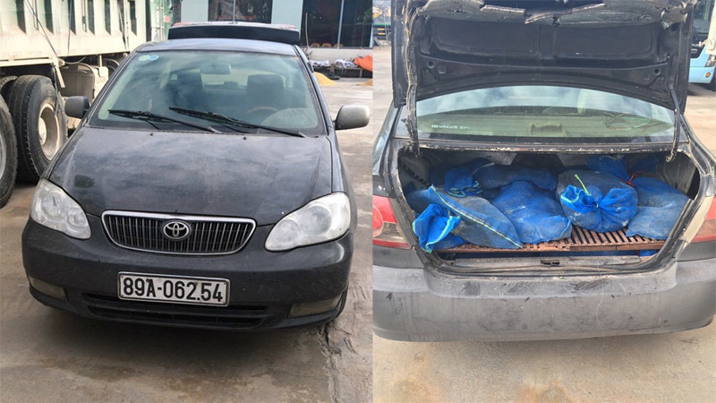 Nửa đêm CSGT bắt hơn tạ kỳ đà trên đường lên bàn nhậu