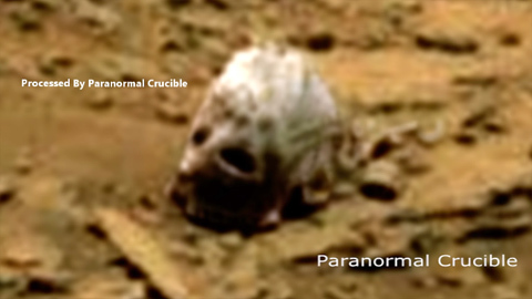 Ảnh sọ quái vật Sasquatch trên sao Hoả gây sốc