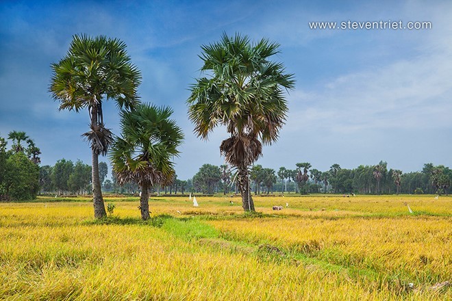 Lịch thi đấu bóng đá hôm nay 27/10/2023