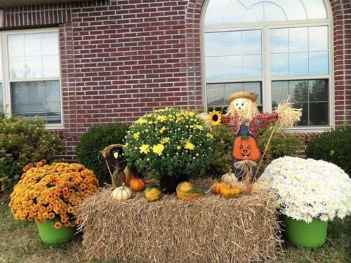 Ngắm vườn hoa đẹp như công viên của mẹ Việt trên đất Mỹ