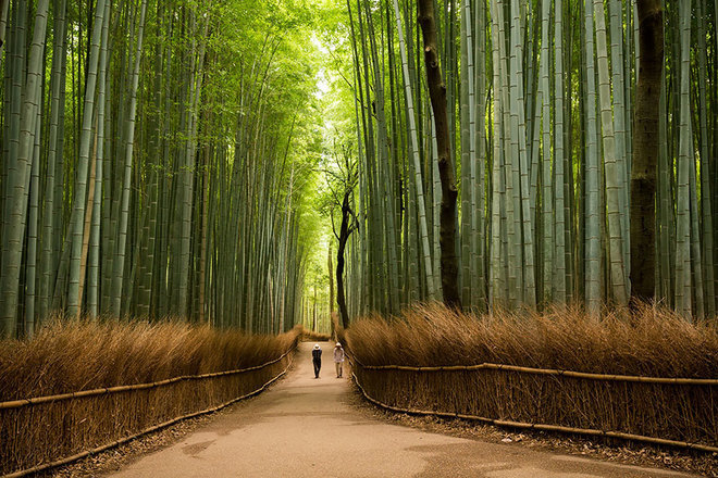 15 lý do khiến bạn muốn đi Nhật ngay lập tức