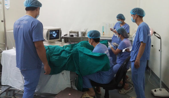 Việt kiều về nước 'tạo' con