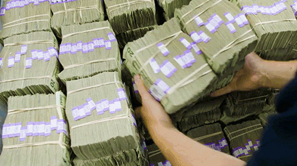 Dùng hàng triệu USD tiền giấy để... trồng cây