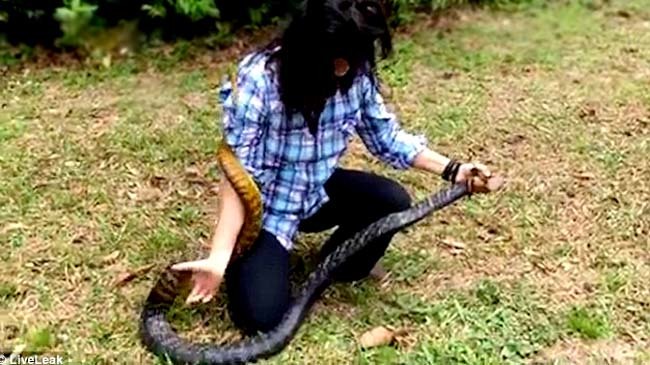 Cô gái tay không vồ rắn 'khủng', dân mạng thất kinh