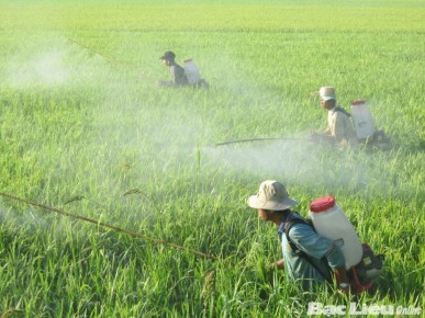 Mỗi ngày 20 tỷ thuốc trừ sâu Trung Quốc: Việt Nam tự đầu độc mình