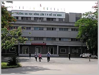 ĐH Nông lâm TP.HCM buộc thôi học gần 1.000 sinh viên