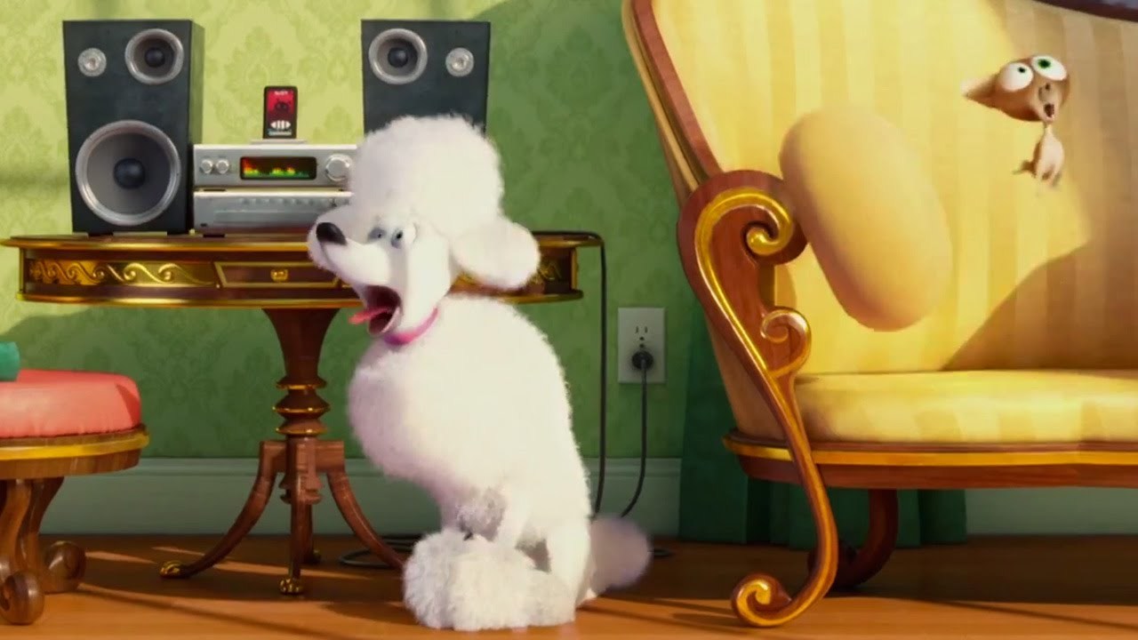 Gặp nhân vật 'quẩy' ác nhất trong 'Đẳng cấp thú cưng'