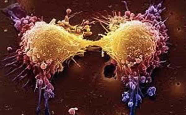 Khi các tế bào liên tục tiếp xúc với môi trường axít có thể làm phát sinh tế bào ung thư