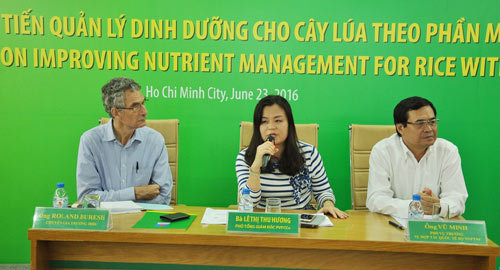 Nông dân Việt dùng smartphone chăm cây lúa trên ruộng