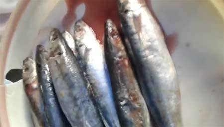 Đáng sợ với cá nục xịn “chỉ đáng cho mèo ăn” ở Hà Nội