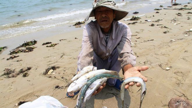 Buộc Formosa phải có khung thời gian nộp phạt rõ ràng