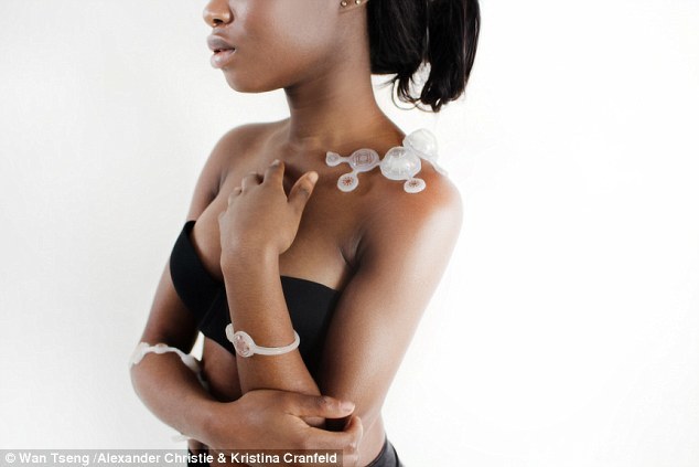 tình dục, chuyện ấy