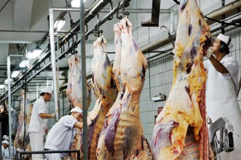 Cấm xuất khẩu bò cho Việt Nam, phía Úc lên tiếng