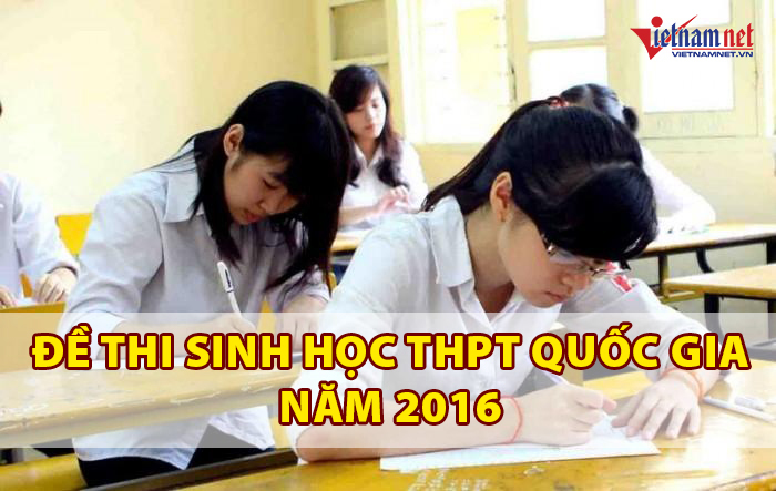 Đề thi môn Sinh học THPT quốc gia năm 2016