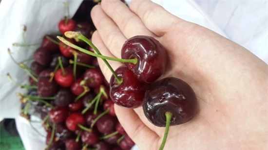 Sự thật về chuyện bán cherry trên mạng có thể khiến bạn sốc mấy ngày liền