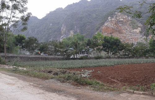 Hai cháu bé trong một gia đình bị giết hại dã man