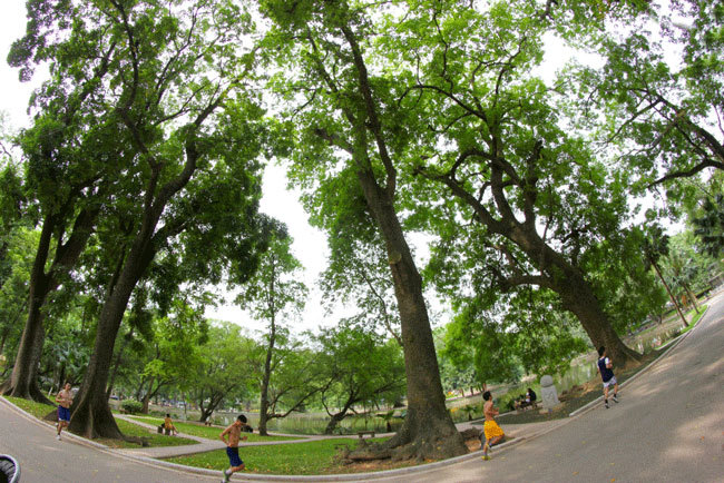 Đến cả Hồ Gươm cũng nơm nớp lo bị... 'phục kích'