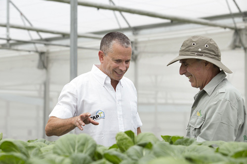 Công nghệ trồng rau siêu sạch ở nhà kính VinEco