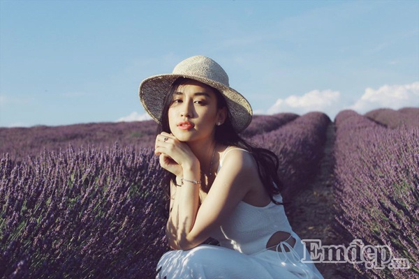 Thiếu nữ Việt đẹp ngẩn ngơ trên cánh đồng oải hương ở Pháp