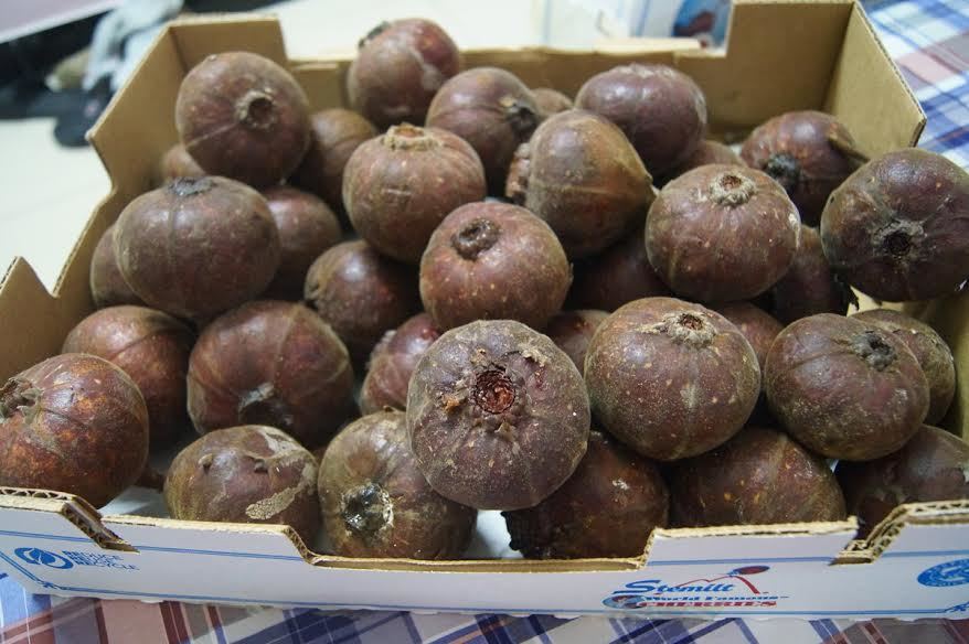 Quả 'sung khổng lồ' gây xôn xao Hà Nội