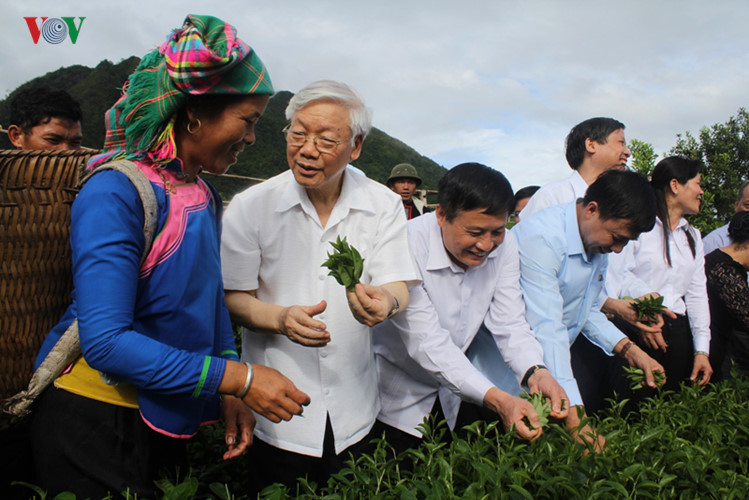 Tổng Bí thư hái chè cùng đồng bào ở Bản Bo, Lai Châu