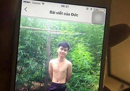 Phát hiện vườn cần sa vì chủ nhân tung ảnh 'tự sướng'