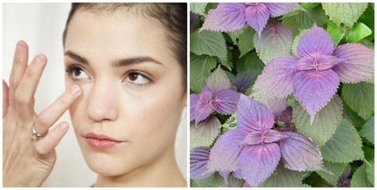 Mụn nhiều mấy cũng hết vĩnh viễn chỉ với vài nghìn đồng