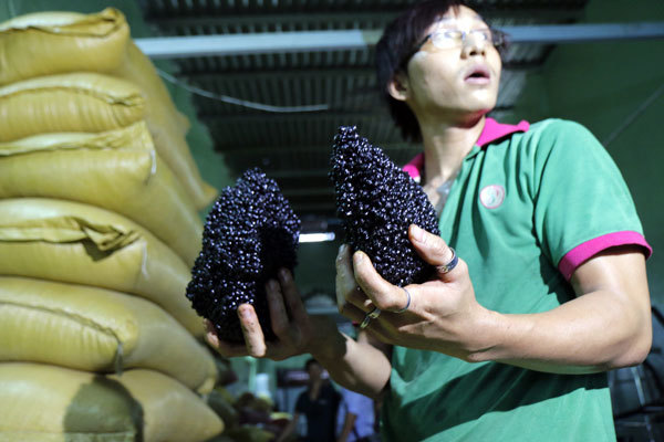 Cà phê bệt toàn dùng hương liệu...nước mắm