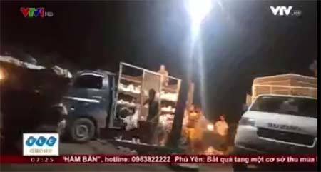 Sự thật gây sốc đằng sau những con gia cầm gắn mác an toàn