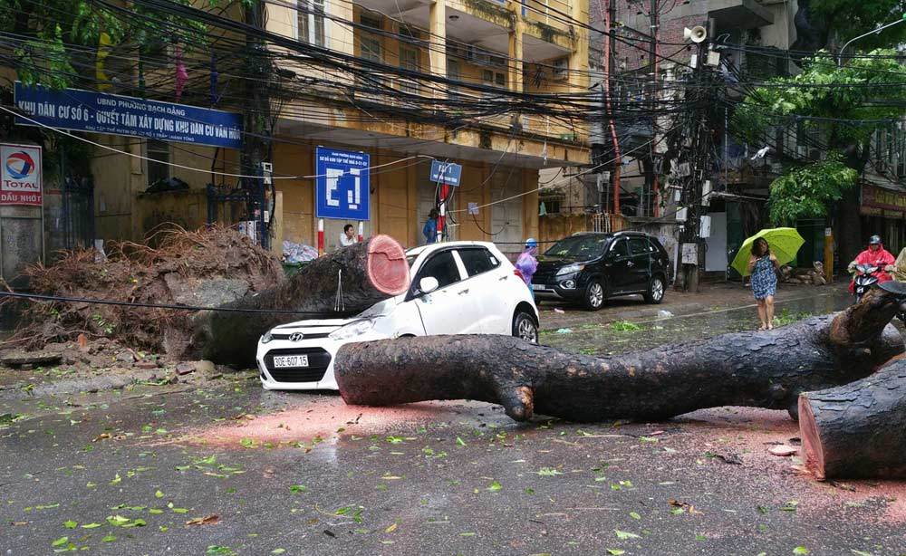 Bão quét tới Hà Nội: Cây đè ô tô, xe máy đổ cả loạt