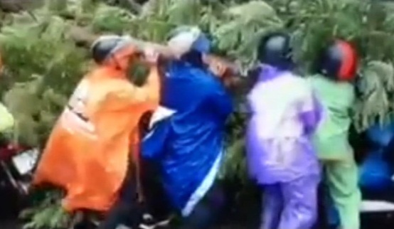 Clip dân Thủ đô cứu người bị cây đè trong mưa bão