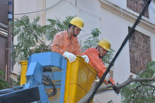 EVN Hà Nội cảnh báo nguy hiểm do bão số 1