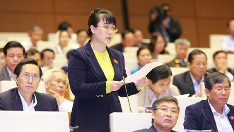 Hà Nội xem xét bãi nhiệm đại biểu HĐND Nguyệt Hường