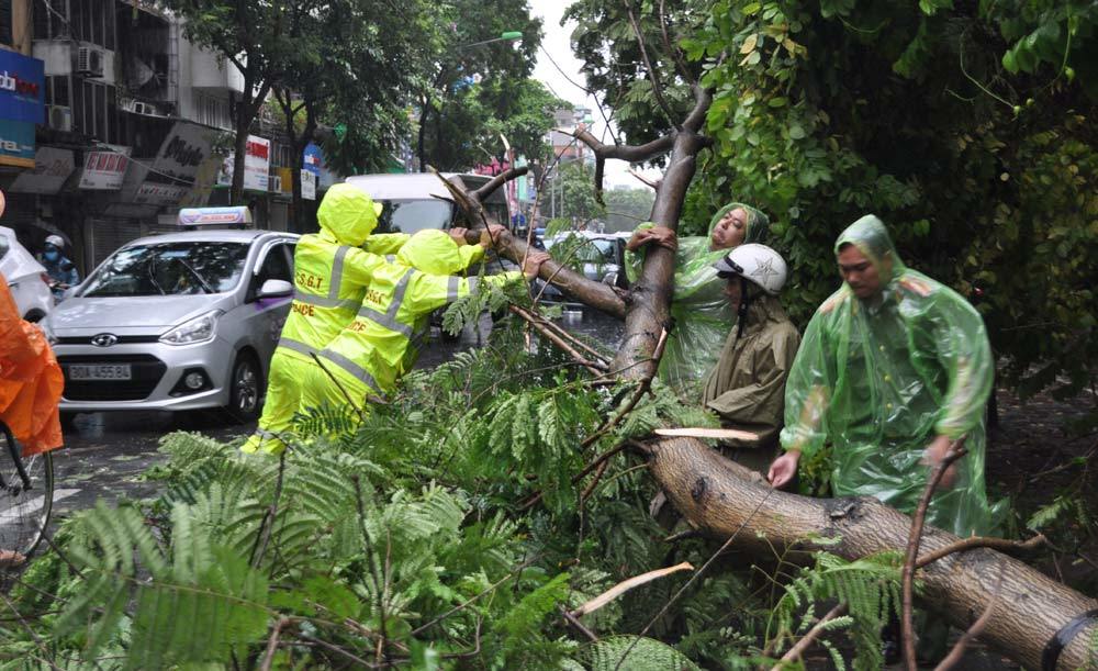 Bão số 1 càn quét: Thổi bay hàng ngàn tỷ, 4 người chết