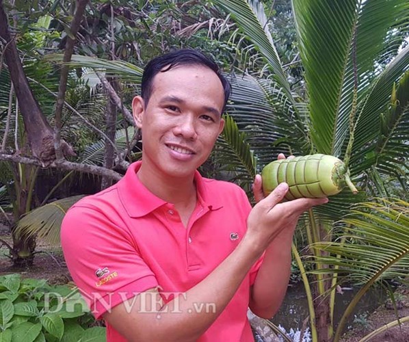 Dừa tạo hình đòn bánh tét siêu lạ gây sốt