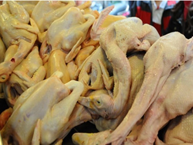 Siêu lợi nhuận, xe Camry cũng được dùng để chở gà thải về Hà Nội