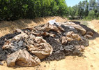 Bùn thải Formosa chôn lấp chứa xyanua vượt ngưỡng nguy hại