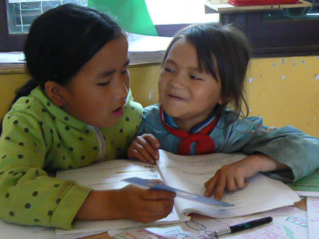 VNEN sẽ đi tiếp như thế nào?