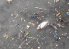 Cá chết, nước sôi sùng sục ở kênh Nhiêu Lộc - Thị Nghè