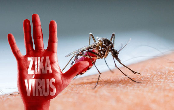 Thêm một thanh niên nhiễm virus Zika