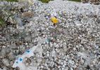 Công an Bắc Ninh điều tra núi rác thải y tế